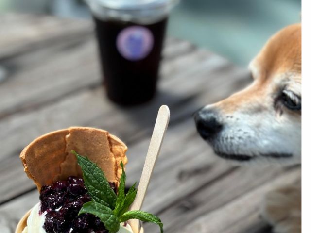 カフェスペースペット可です!摘み取り中も専用日陰スペースがあり安心です。