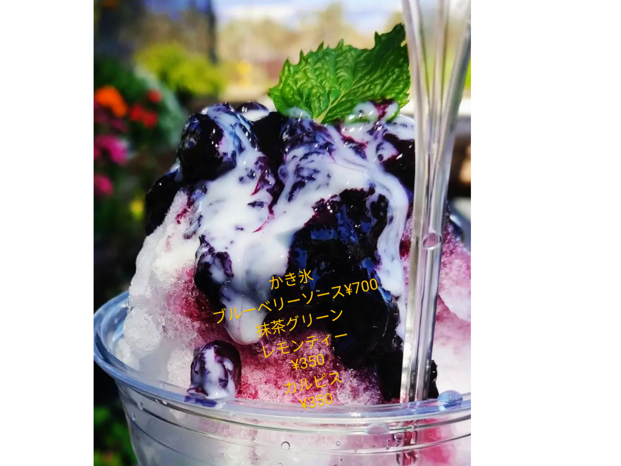 AvXsL̐X̐cafeԂłXhN@ł傤H