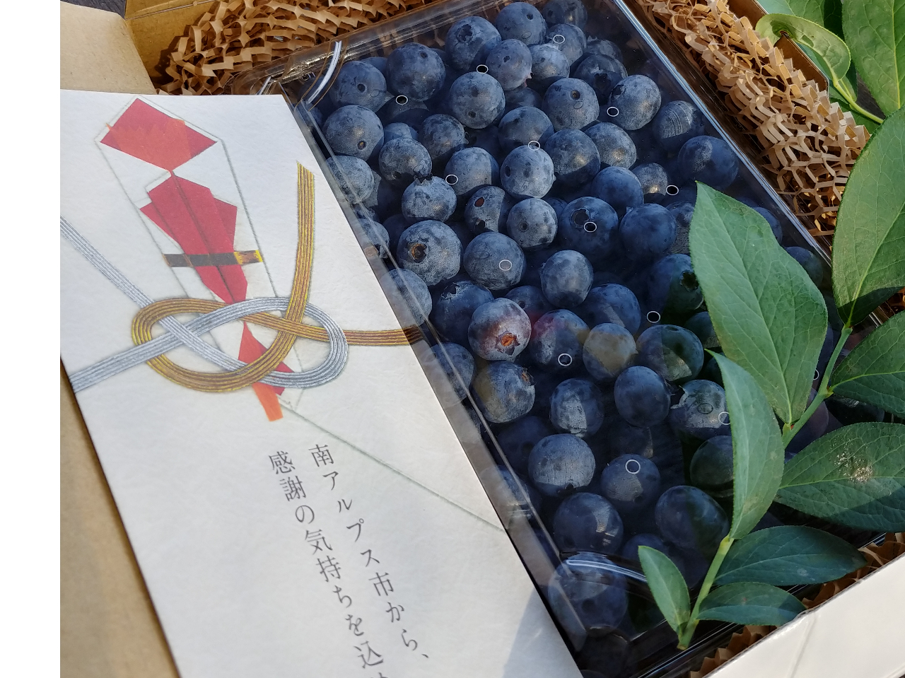 MtgD]Ă܂BœE񂾉ʎ؂ȕɑ܂񂩁H