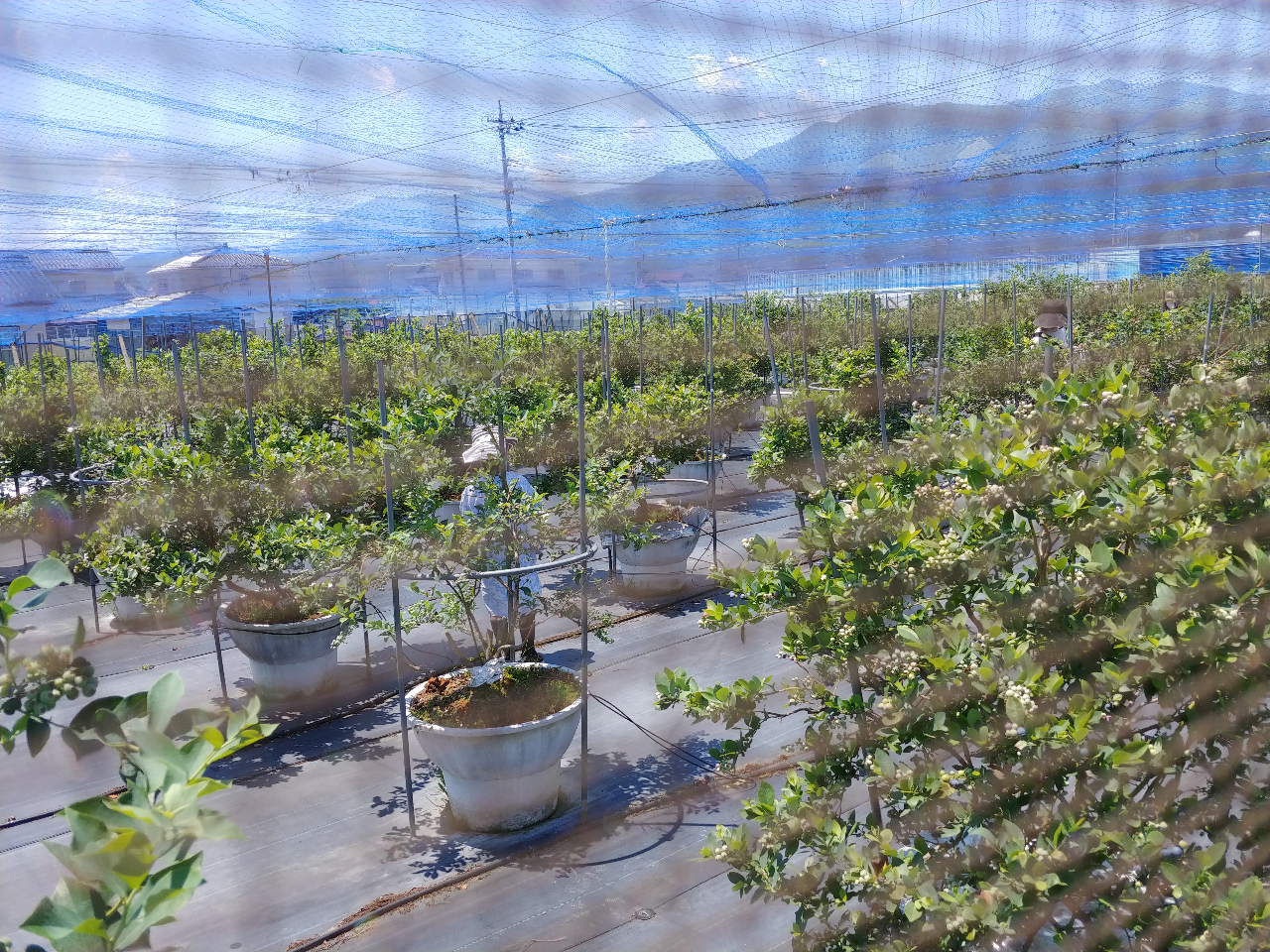 上下左右ネットに囲まれ、プライベート感ございます。