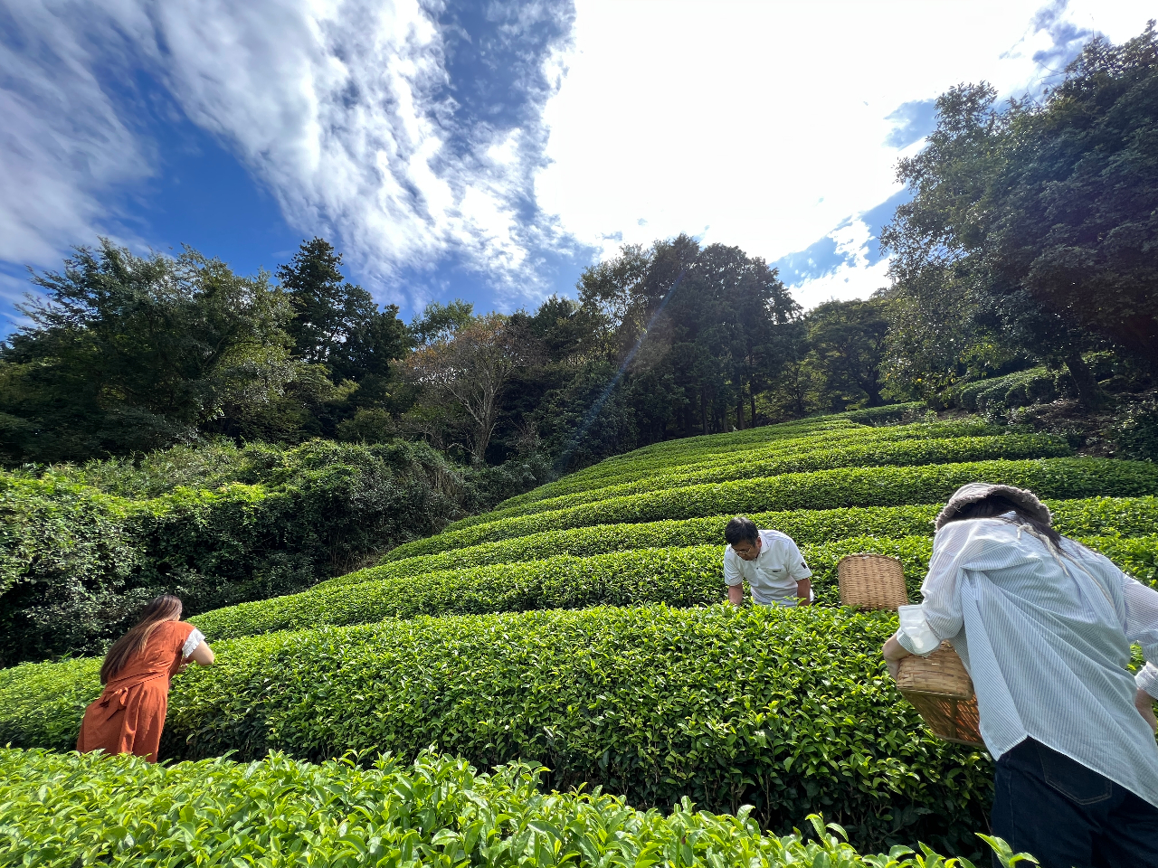 体験を味わい尽くせ!贅沢フルセットプラン