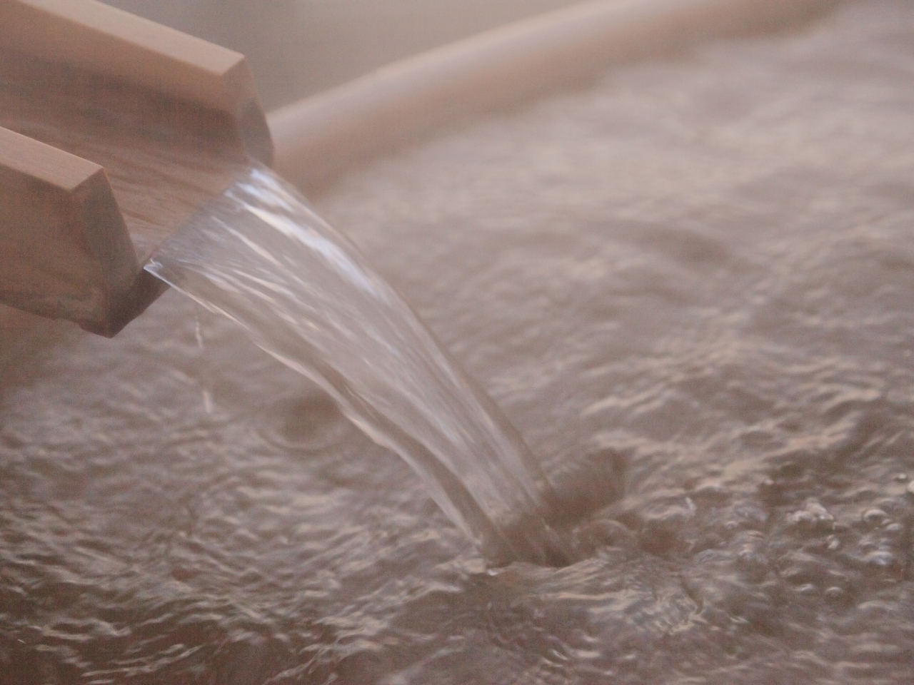 �򎿂͔��ɗD�����i�g���E���Y�_���f����ŁA�F���̔�����������l�̓��Ƃ��Đ̂��爤����Ă��܂��B