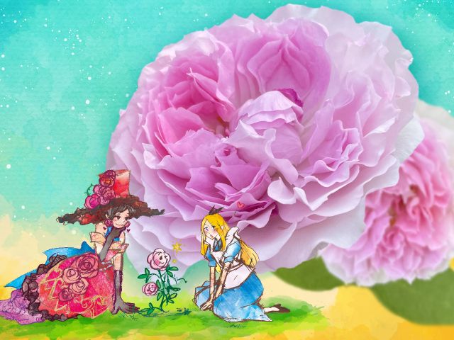 「アリスの初恋」