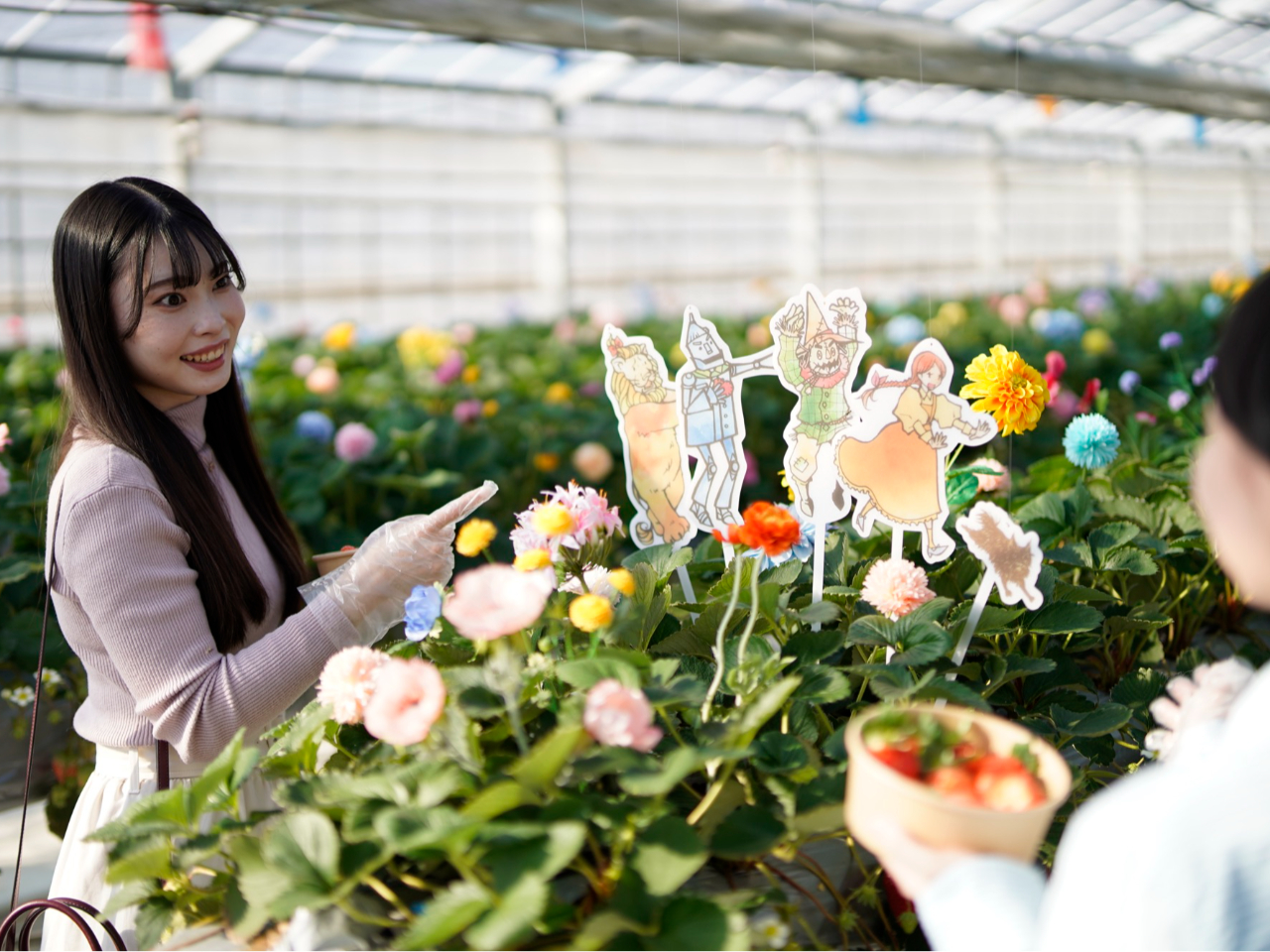 �n���g�Z�b�g���̃P�[�X�Ɏ��܂镪�̃C�`�S��E��ł����܂���