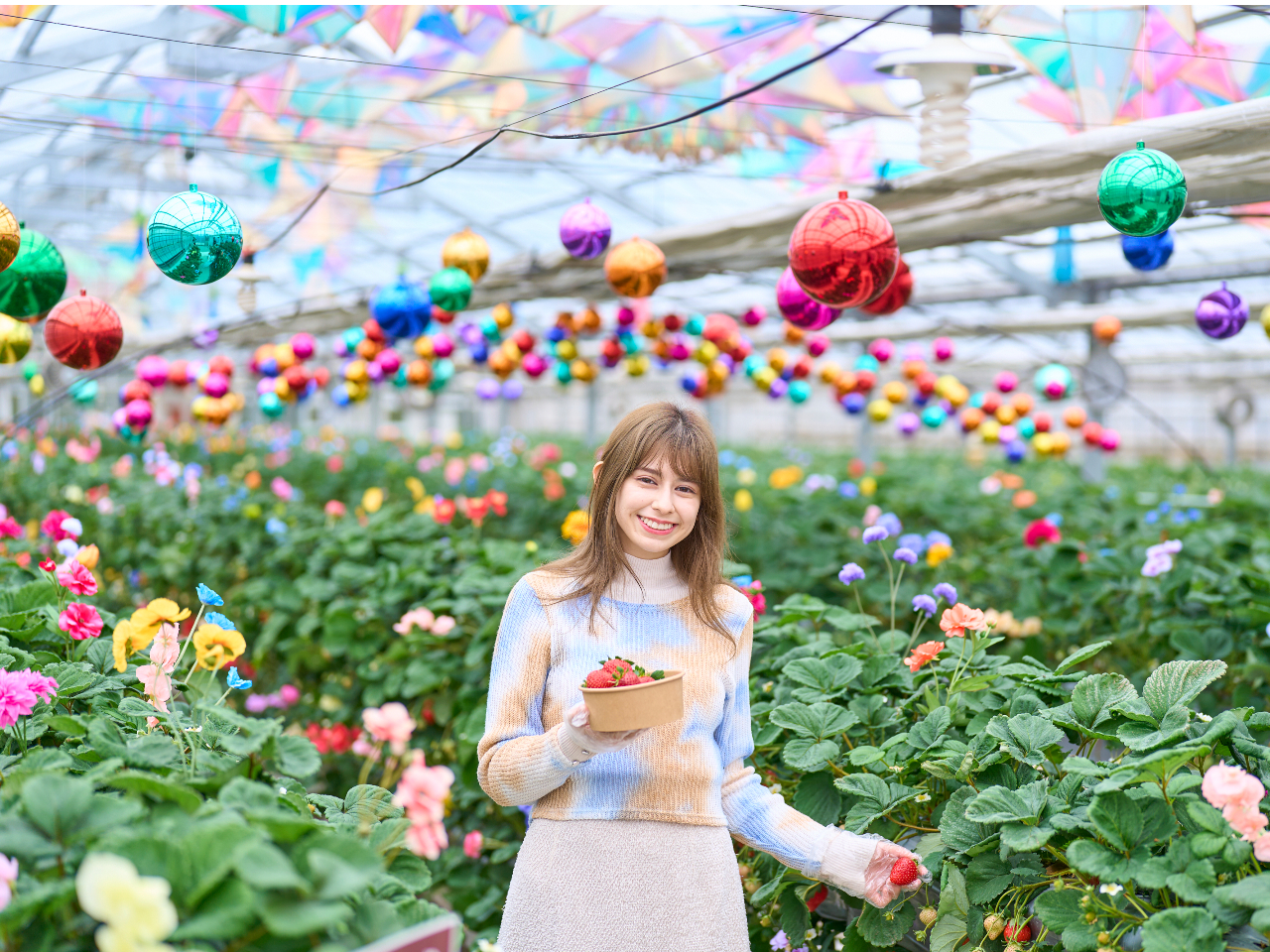 �����������̓V��̓L���L���A�J���t���ȃA�[�g��ԁB�����y���݂Ȃ���C�`�S��E�߂܂���