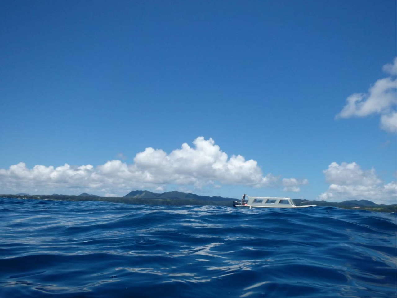 大浦湾の中のサンゴのポイントを効率よく回ります。