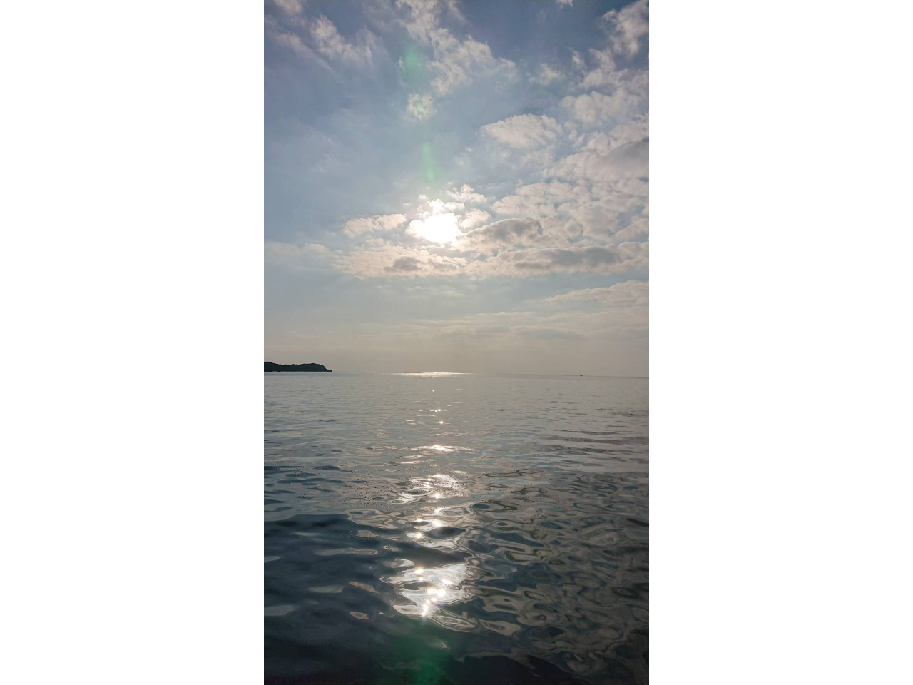 窓からの景色もきれいです。