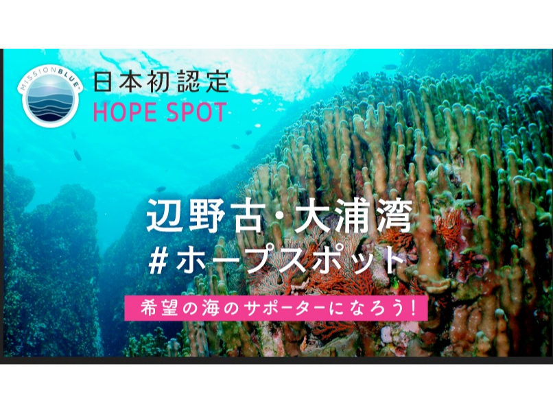 著名な海洋学者が創設したNGOミッションブルーに世界の守るべき海として日本で初めて認定されました。その大浦湾を知るためにも、ぜひグラスボートに乗って下さい!