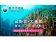 著名な海洋学者が創設したNGOミッションブルーに世界の守るべき海として日本で初めて認定されました。その大浦湾を知るためにも、ぜひご参加下さい!