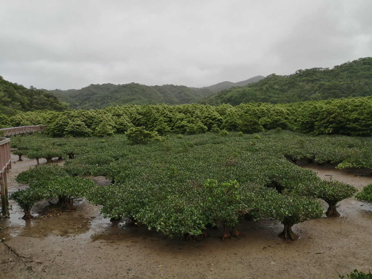 }O[u΂̌т]ތiFB삩R֘AȂ΂ɖ܂B