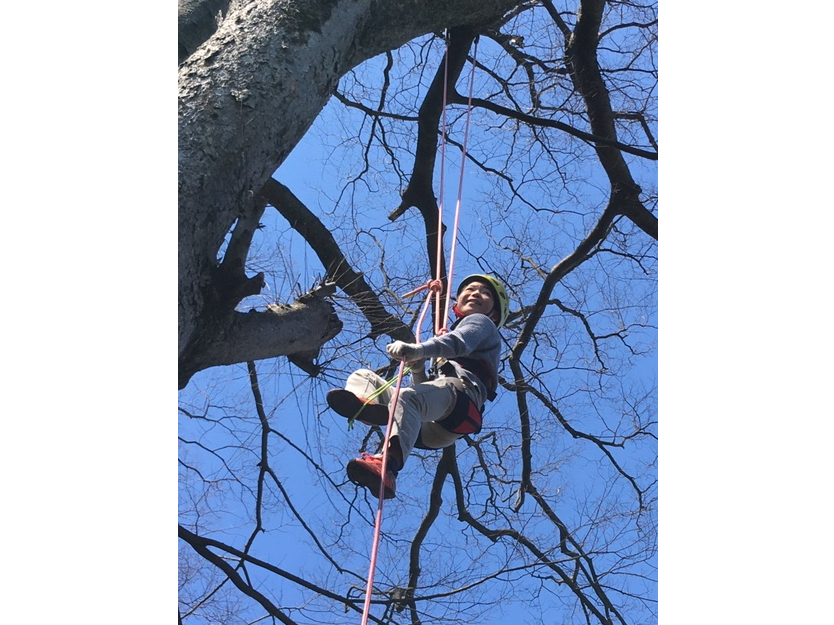 ★2025年★初心者向け【体験コース】カフェ併設の大樹でツリークライミング◎心と...