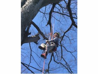 自分の力だけで、今まで経験のした事の無い高さの木に登れます。登り切った時には新たな自分を発見できるでしょう。