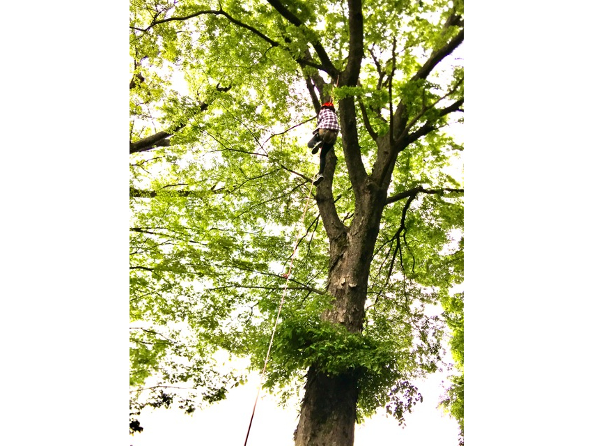 `WR[Xł͂ȍƂ܂œo܂B