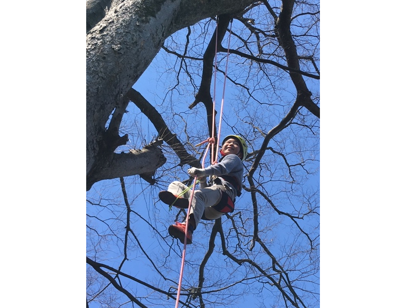 ★2025年★【土日限定プラン】初めての方向け【体験コース】カフェ併設の大樹でツ...