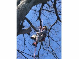 自分の力だけで、今まで経験のした事の無い高さの木に登れます。登り切った時には新たな自分を発見できるでしょう。