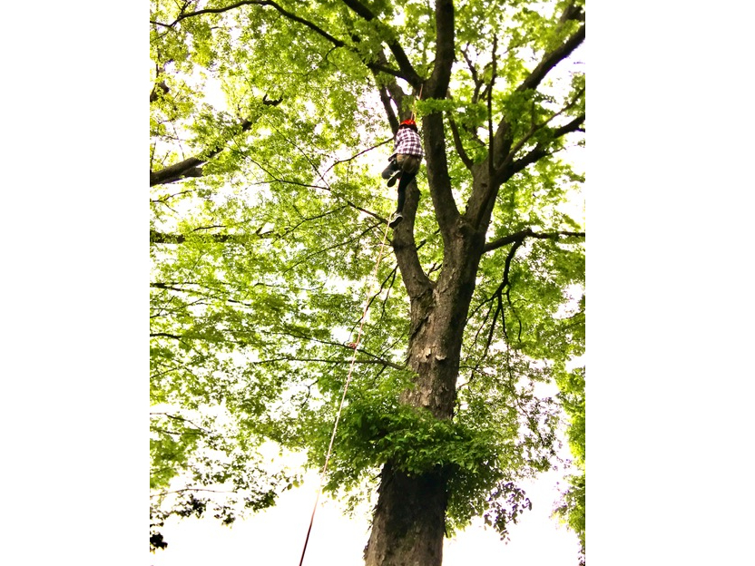 `WR[Xł͂ȍ܂œo邱Ƃł܂B