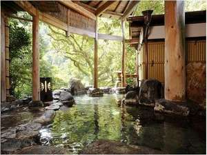 ������̂��ʐ^�̂����C�́h�����h�ƂȂ�܂��B