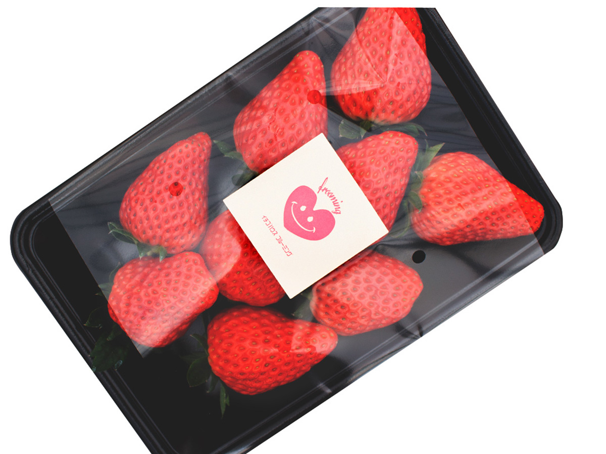 2025/2/1スタート!!!《いちご狩り♪40分間／滋賀》有機質肥料で育てた