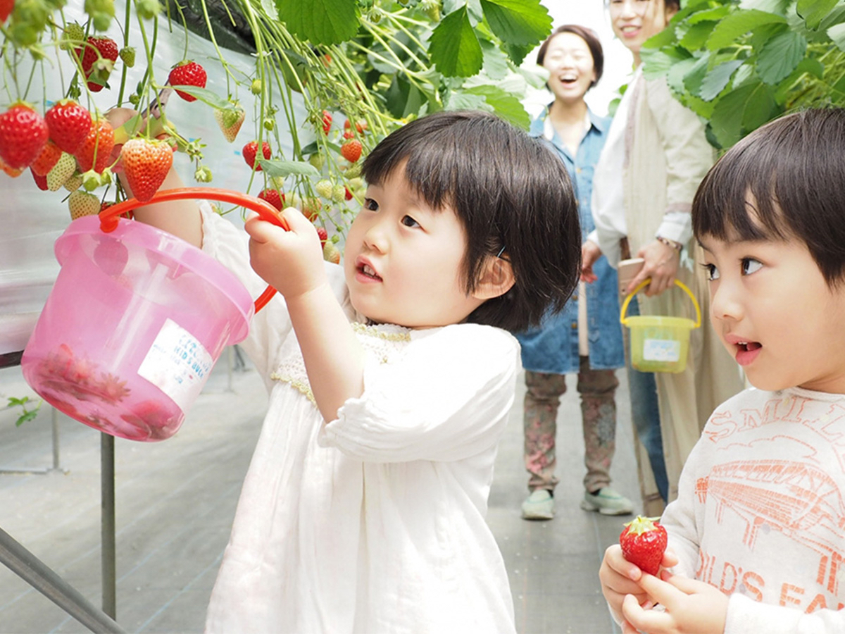 2�Έȉ��̂��q�l�͖����ł��y���݂��������܂���