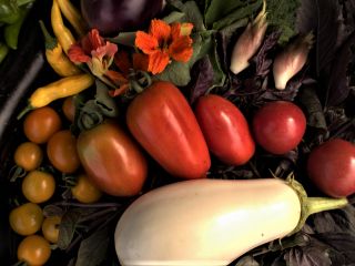 夏野菜 花、イタリアトマトです。 冬は、里芋や大根など根菜になります。