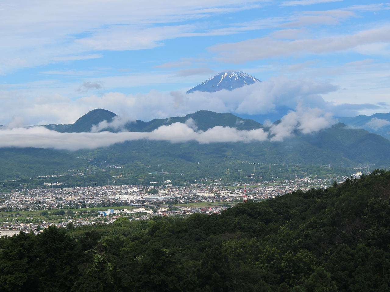 xmRAAgȋCALȎRSn悢ԂɂĂ܂