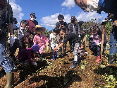 ファミリー、カップル向き収穫体験 無農薬栽培安納芋掘り・昼食は焼きたてピザ 石窯...