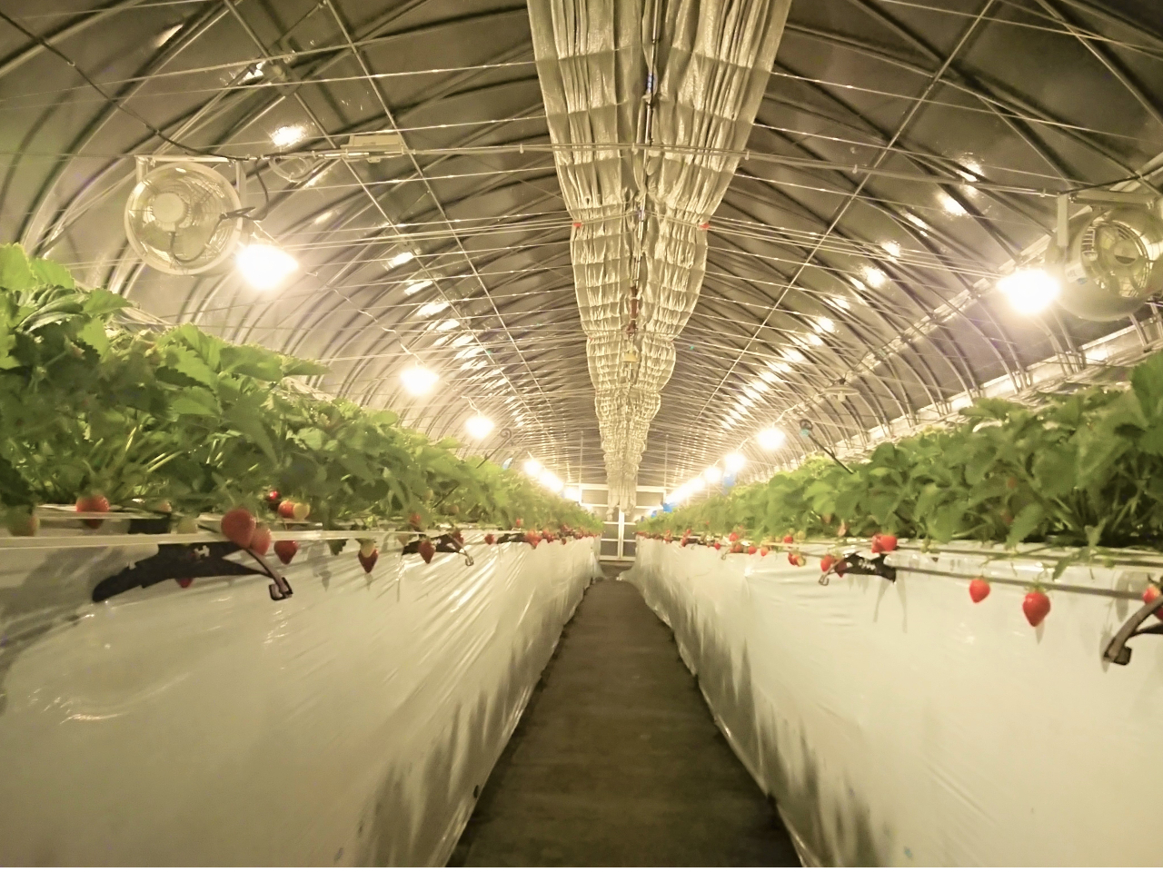 夜のハウスは異空間