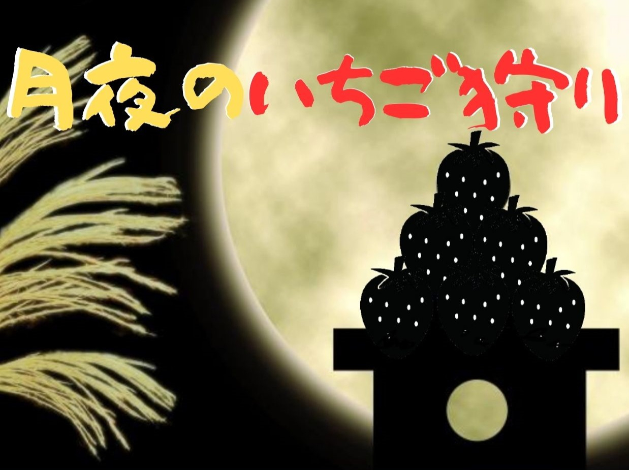11/3まで開催中!
