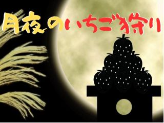 11/3まで開催中!