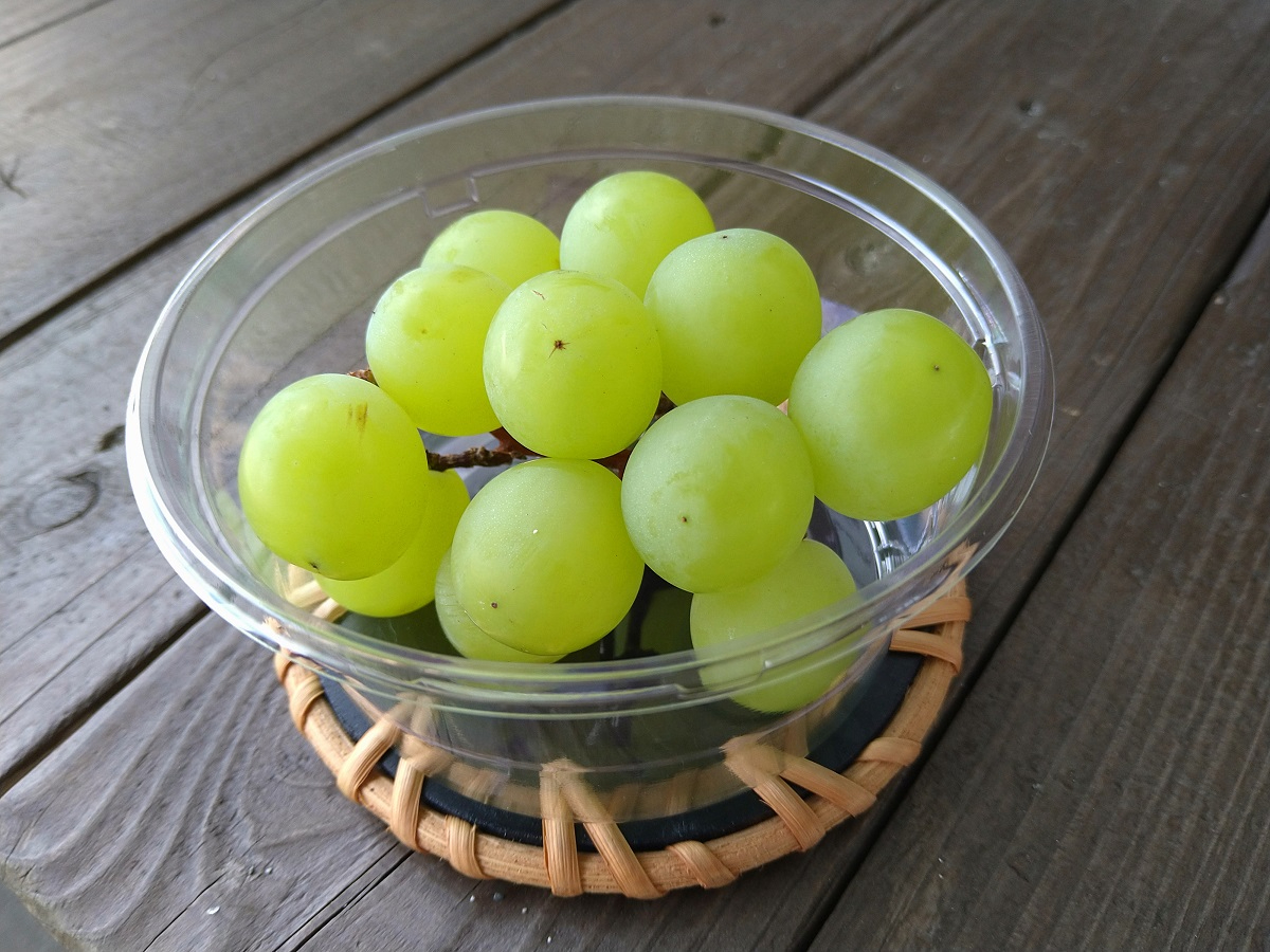 自社農園で育てたシャインマスカットをプレゼント