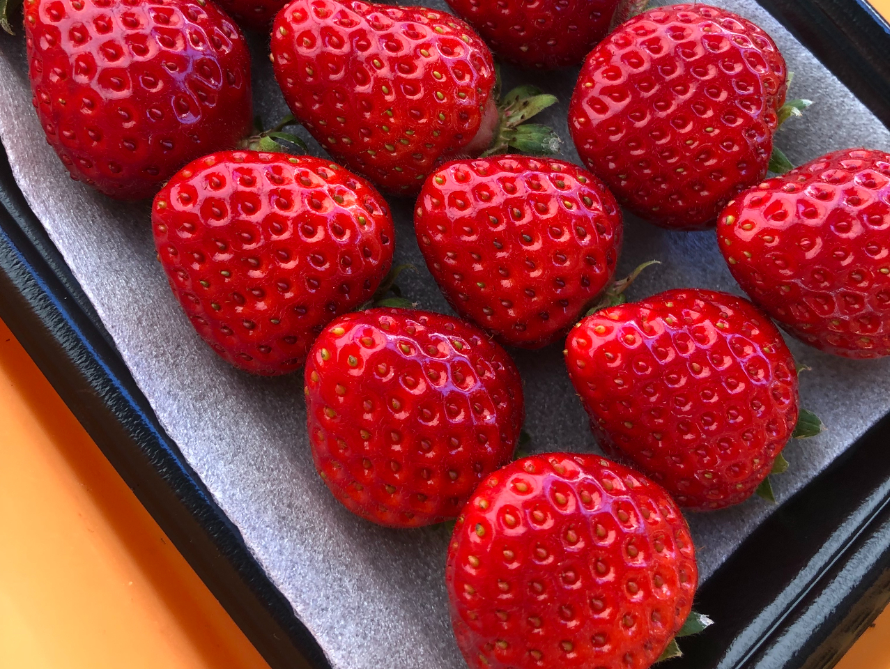 こちらは販売・お土産用です。美味しそうないちご探しもまた楽しい☆