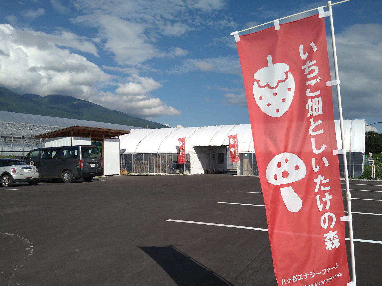 赤いのぼりが目印★来園する際はGoogleナビにて八ヶ岳エナジーファームと検索してください!