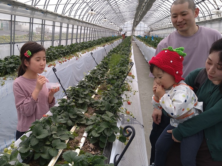 友人・カップル・ご家族でお楽しみいただけます♪