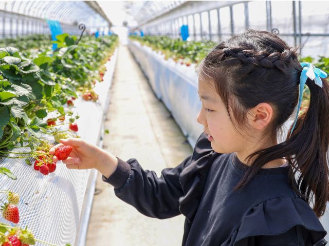 全天候型ハウスを全12棟完備しています。大人数でも広々ゆっくり楽しめます♪