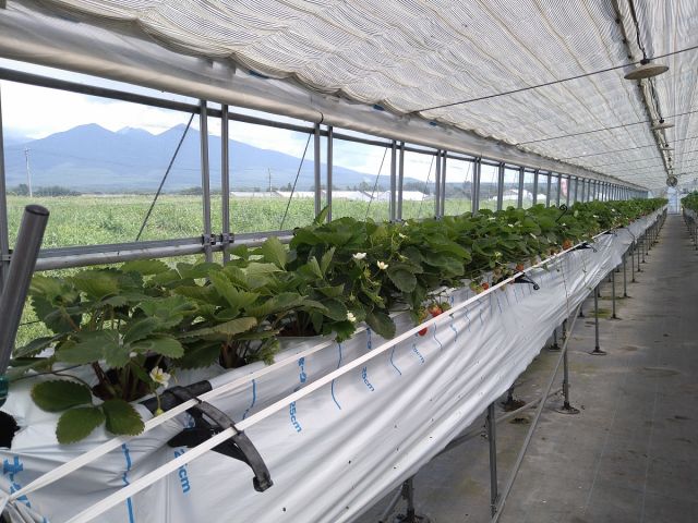 遮光カーテンで日差しも柔らか!