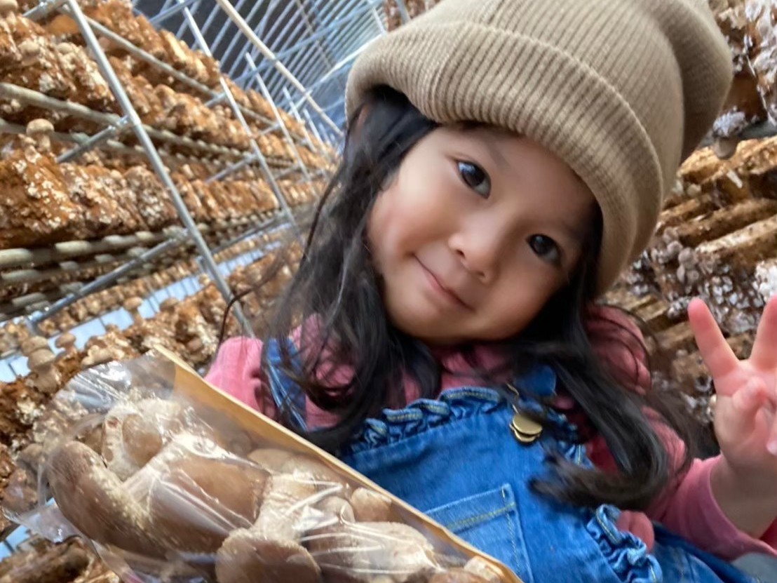 お子様も簡単に収穫できます