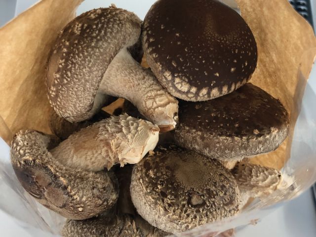 ご家族皆さまでお楽しみいただけます♪ (収穫イメージ)