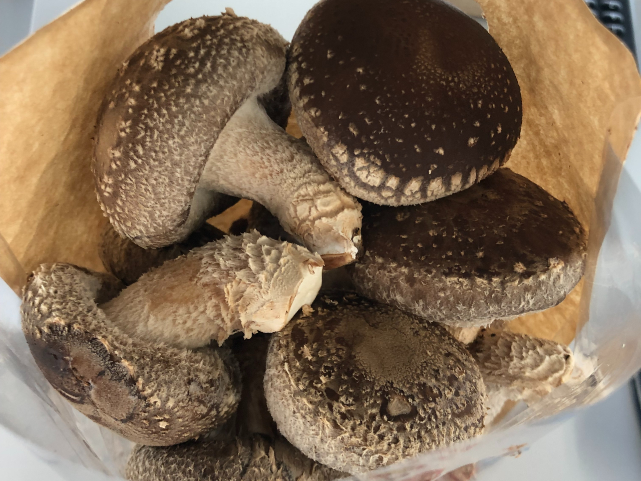 ���y�Y�ɂƂ��Ă���΂�܂��I�]�������������͊�����Ⓚ���Ă������������_�ł��I