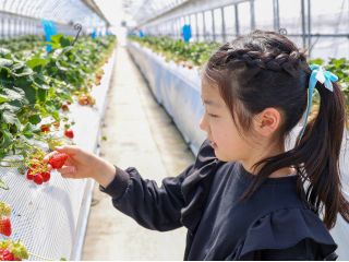 全天候型ハウスを全12棟完備しています。大人数でも広々ゆっくり楽しめます♪