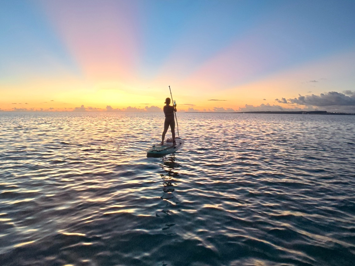 ����l�l�̂��Q�����劽�}�ł���