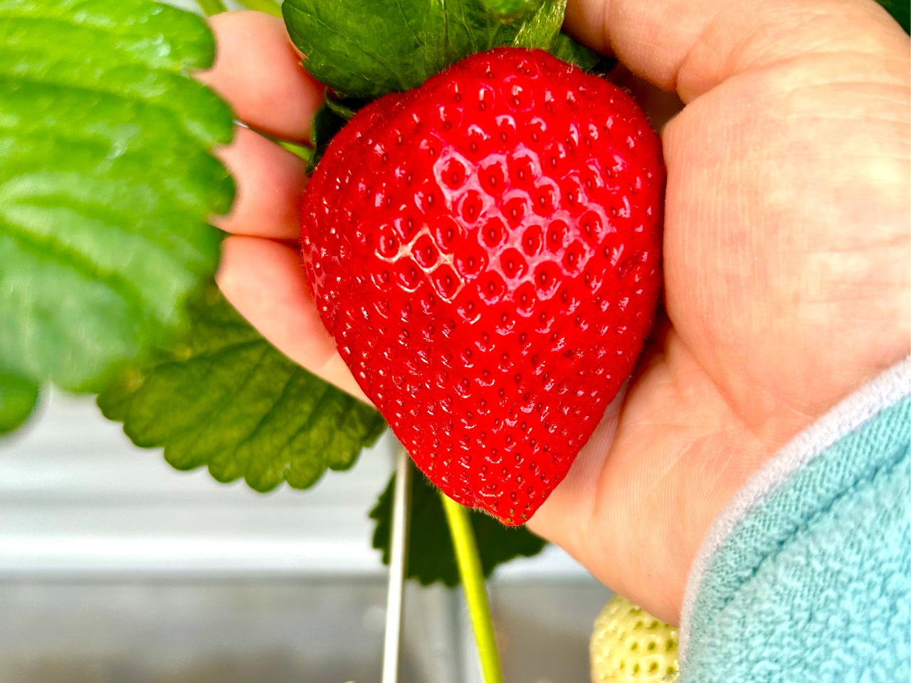 �Ȗ،������������̂Ƃ��������I�_�����قƂ�ǂȂ����܁[����