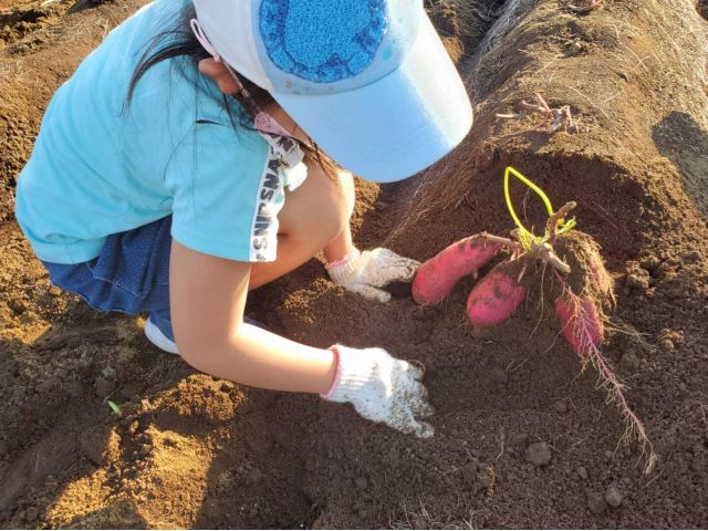 宝探しみたいで楽しい!