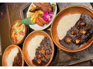 当日カレーを3種類の中から好きなカレーひとつお選びいただけます。アロハリブやサラダなどサイドメニューも充実してます!
