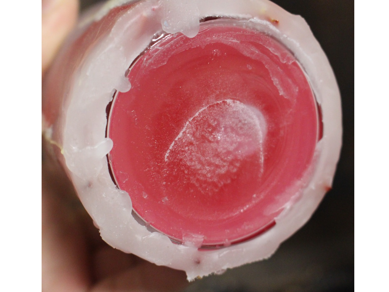 �J���[�����܂����B