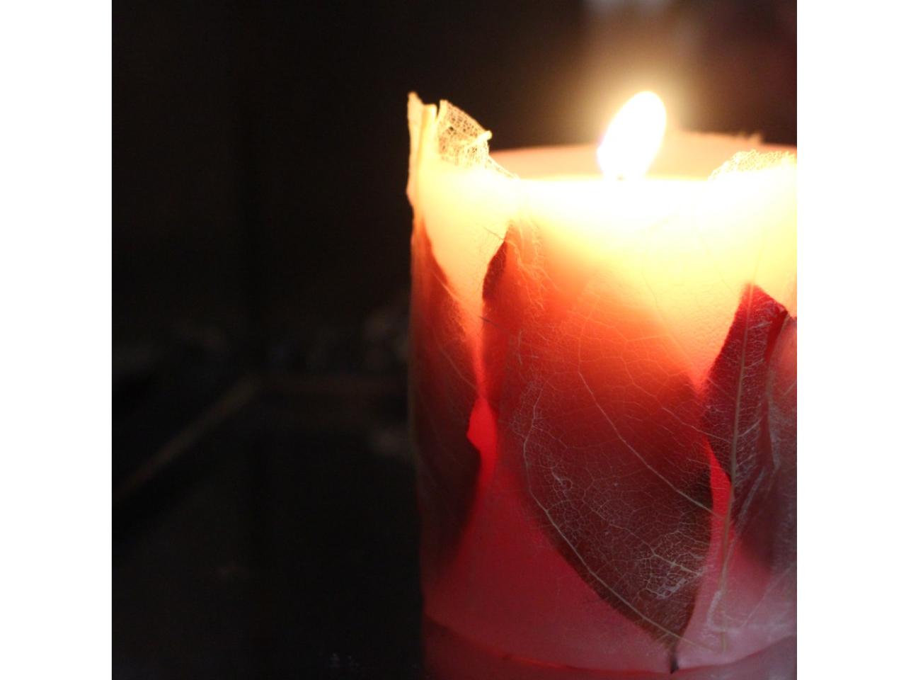 �����ɐԂ��L�����h�������܂����B�����ƕ����яオ���Ă��܂��B