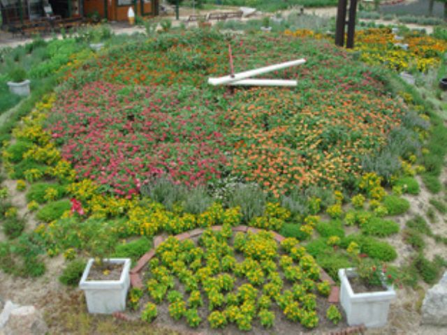 23年開催予定 コロナ対策中 世羅郡 香山ラベンダーの丘 入園チケット 香山ラベンダーの丘 じゃらん遊び体験 23年開催予定 コロナ対策中 世羅郡 香山ラベンダーの丘 入園チケット 香山ラベンダーの丘 じゃらん遊び体験