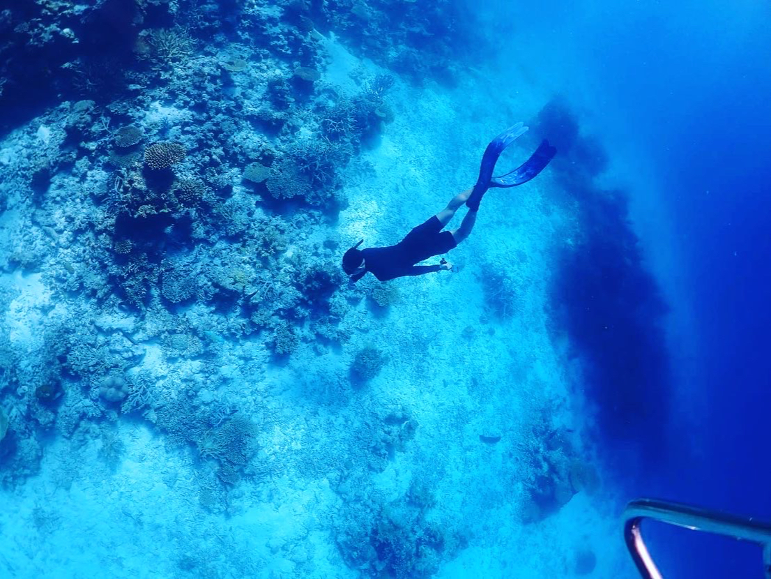 ŋߔMAXL_CrÔт̂яo鐅[|CgR܂