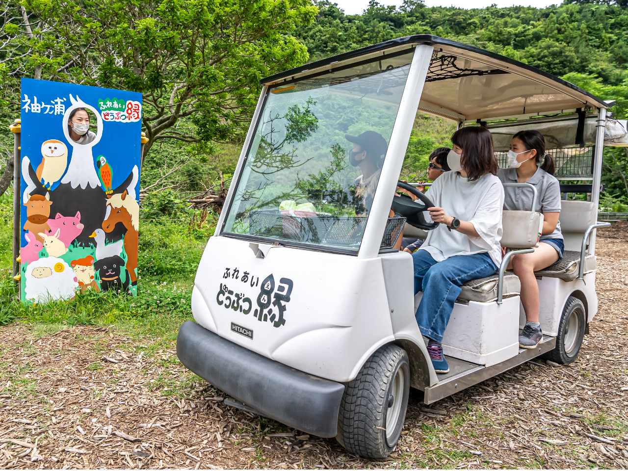 《縁内周遊カート》どうぶつのエサバケツ付き♪広い縁内をカートでドライブ!《ファミ...