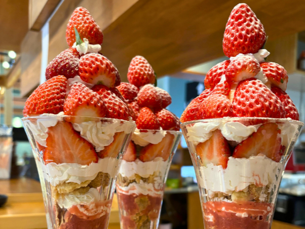 岐阜・瑞穂市・いちご狩り】〈2024年12月中旬～2025年4月6日〉3品種の