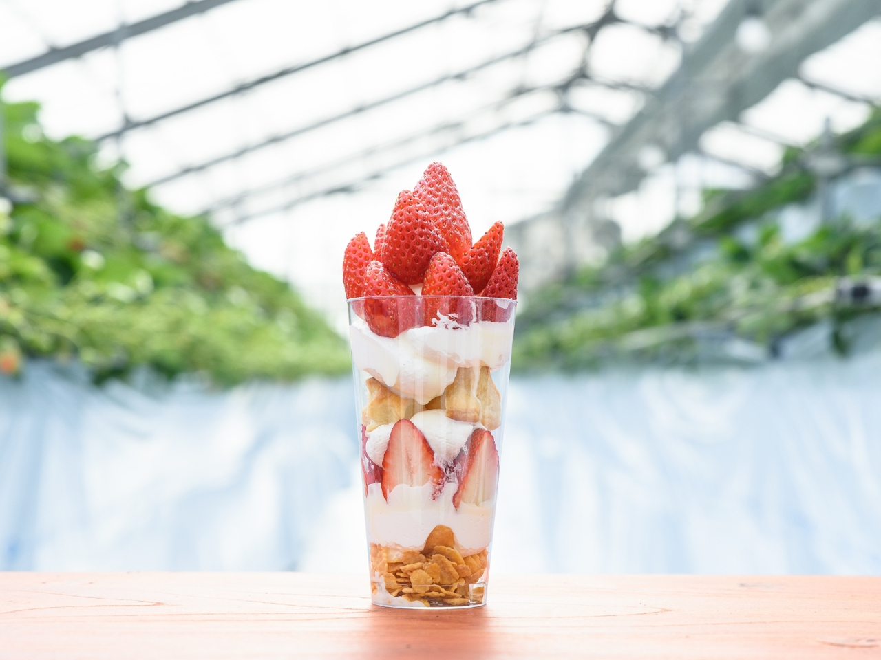 岐阜・瑞穂市・いちご狩り】〈2025年12月中旬～2026年4月〉3～4品種の